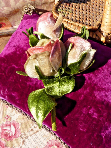 Ancienne application fleurs - application,